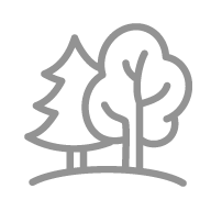 Trees Icon